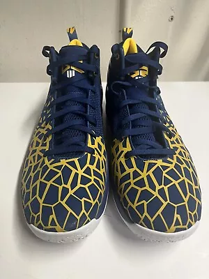 Li Ning Dwayne Wade Practice Worn Basketball Shoes Size 15 Gr3 Michigan • $125