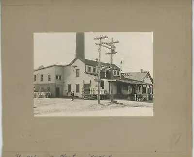 Vintage Photo Milk Plant Cow Dairy Farmers Bovine Milk Jug North Bangor NY 1920s • £18.99