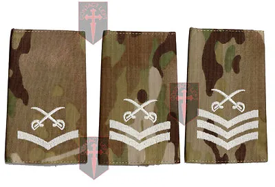 Range Of Multicam MTP PTI Rank Slide Physical Training Instructor Crossed Swords • £3.50