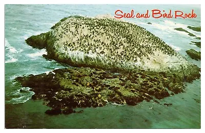 Vintage Seal And Bird Rock 17 Mile Drive CA Postcard Monterey Unused Chrome • $4.65