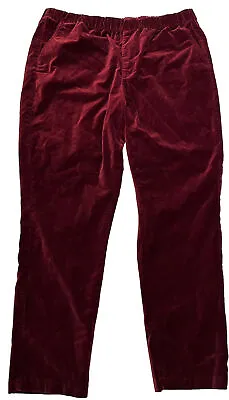 Coldwater Creek Velvet Pull On Pants Womens 18 Burgundy Maroon Elastic Waist • $18