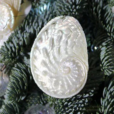 Natural Seashell Christmas Tree Decoration | White Pearl Abalone 6cm • £1.99