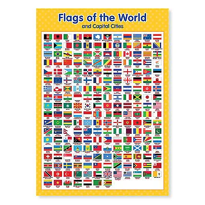 Flags Of The World Laminated Wall Chart A3  • £4.09