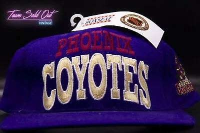 Vintage Box Seat Phoenix Coyotes Arch Logo Snapback Hat NHL • $40