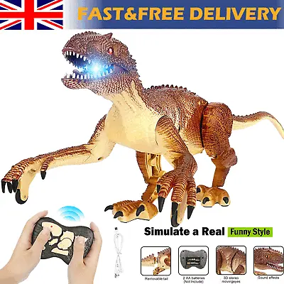 2.4G RC Dinosaur Toys Big Walking Realistic Velociraptor Dinosaur Robot Toy Gift • £15.90