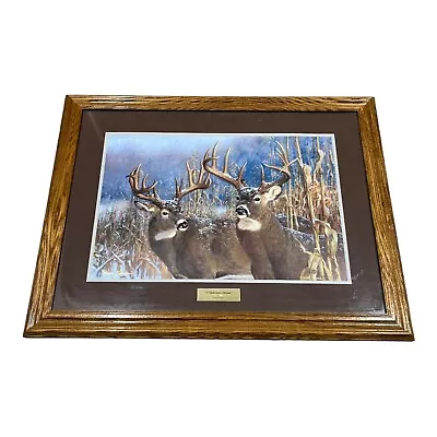 RARE Hayden Lambson Signed/Framed “A Midwinter Dream  Deer Buck 745/5500 34 X26  • $150