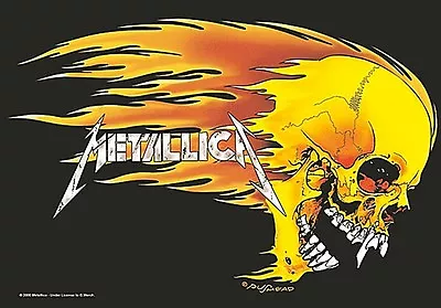 Metallica Skull & Flames Large Fabric Poster / Flag   1100mm X 750mm (hr)   • £11.99