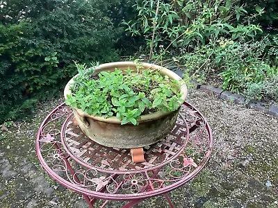 £10 • Buy Garden Terracotta Pot Planter With Kitchen Herbs 3 Of 3