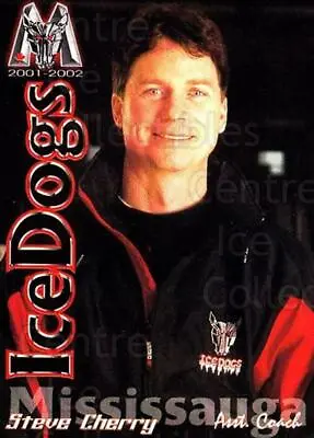 2001-02 Mississauga Ice Dogs #4 Steve Cherry • $2.19