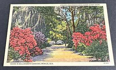 Vintage Postcard: Scene In Bellingrath Garden Azaleas/ Spanish Moss Mobile Ala • $4.75