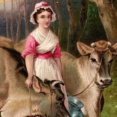 Dr. Jayne's / Jersey Cow / L. E. Sale Richmond VA - Victorian Trade Card  • $19.99