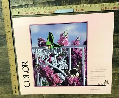 VINTAGE POSTER 1991 Krivit Photography  Color  Lilacs Butterflies Minnesota • $150