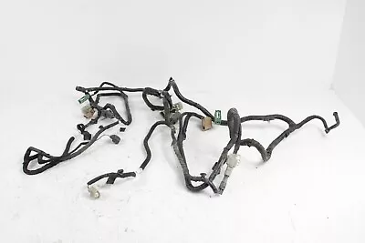 2015-2020 Ford F150 OEM Bed Lights Taillight Brake Wire Harness FL3T-13A409-EG • $135