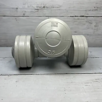 Pair Of Everlast 2.5 Lb Dumbbells Free Weight Dumbells Gray Hand Weights • $14.97