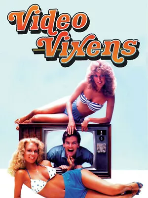 Video Vixens (dvd Kch) New • $12.99