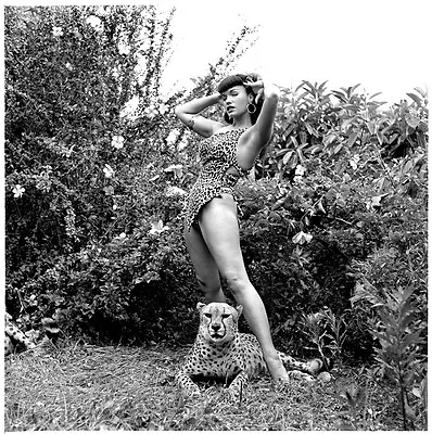 Bettie Page Photo Collection - Over 3700 Quality Photos & Video Bonuses! • $17.08