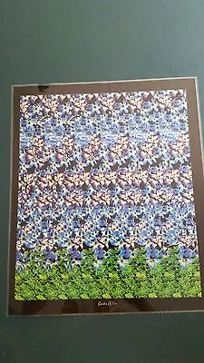 3D Poster Garden Of Eve  Sailboat Eye Magic Illusion 14 X16 SAME DAY SHIP • $28