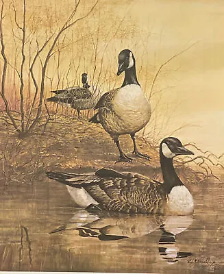 R. J. Ralph McDonald S/N Art Print Geese At Gaddy's Pond W/ Cert (18.25 X21.75 ) • $125