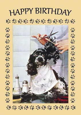 Cocker Spaniel Having A Haircut Comic Dog  Birthday Greetings Note Card  • £2.50