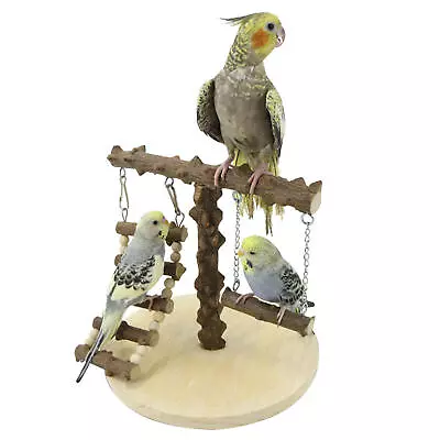 Bird Play Stand Cockatiel Playground Parrot Wood Perch Gym Toys • $26.47