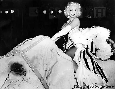 Marilyn Monroe Riding An Elephant - Poster In 7 Sizes • $20