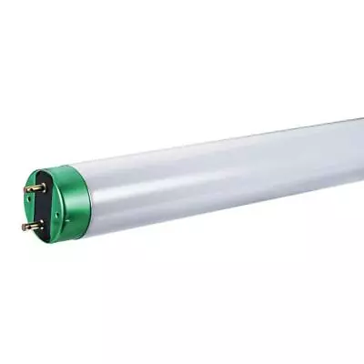 30-Watt 3 Ft. Linear T8 Fluorescent Tube Light Bulb Bright White (3000K) • $17.54