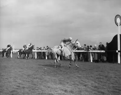 £5.78 • Buy Nicolaus Silver 1961 Grand National Win 6 Horse Racing Old Photo