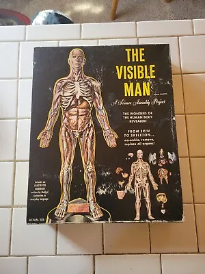 1959 Renwal The Visible Man A Science Project Model Kit #800598 In Box 1:5 Scale • $59.95