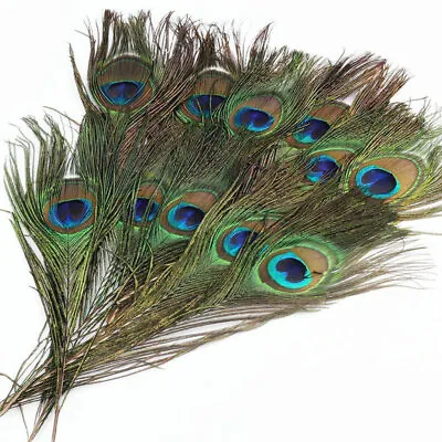 20X Natural Peacock Feathers Real Peacock Tail Feathers 25-30CM Feathers Decors • £7.22