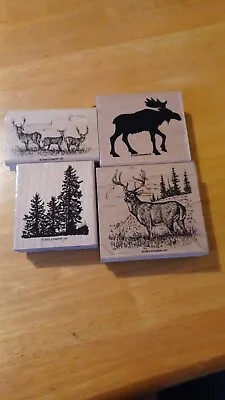 Wood Ink Stamps Stampin Up Moose Deers Trees • $18