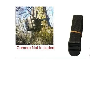 Tree Strap  Game Deer Trail Camera Bushnell Moultrie Browning Simmons Wild Life • $8.99