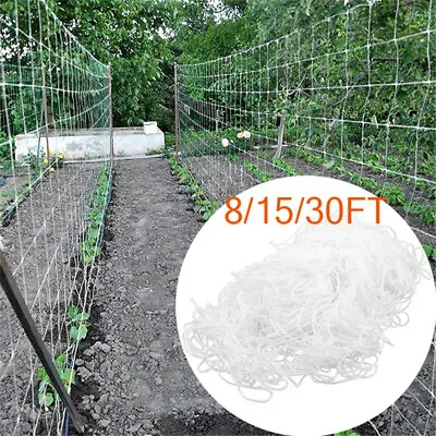 £14.59 • Buy Plant Support Mesh Garden Net Vegetable Fruit Climbing Netting Pea Bean Trellis