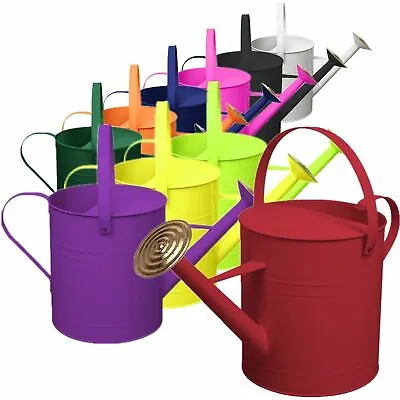 Colourful 9 Litre Galvanised Steel Watering Can With Brass Rose • £19.99