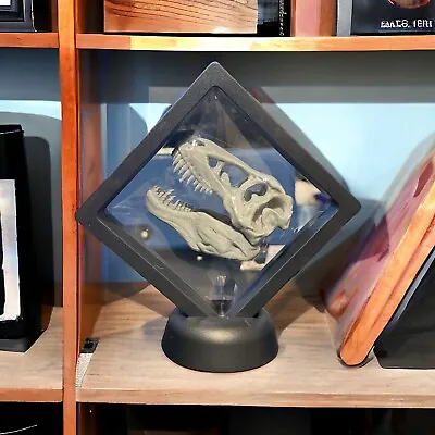 3D Printed T-Rex Head Replica With Display Case And Stand - Dinosaur Enthusiast • $19.99