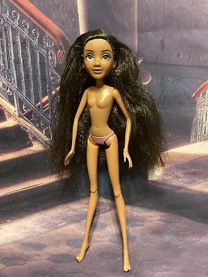 Winx Aisha Doll Body Alternative Head Rooted Eyelashes & Long Crimped Hair AA • $39