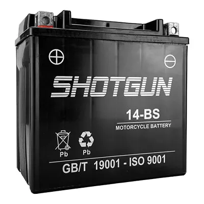 Shotgun YTX14-BS Replacement  Battery For 2014 - 2016 Triumph Tiger 800 XC • $49.88