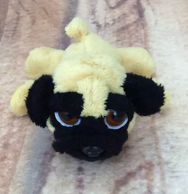 Lil Peepers Pippin  Pug Suki Soft Plush Toy • £4.99