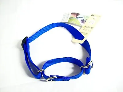 Martingale Training Dog Collar 3/4  Lupine Pet Basic Solid Blue Combo 14  To 20  • $15.99