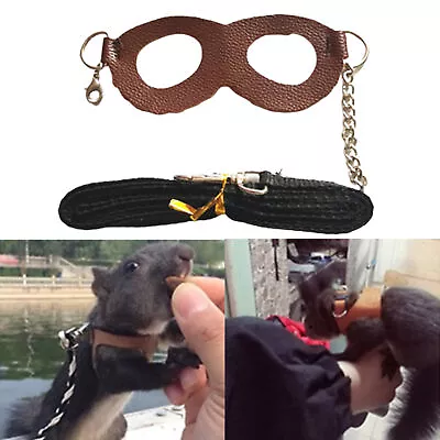 Pet Leash Comfortable Walking Safety Walking Safety Leashes Rabbit Accessories • $7.31