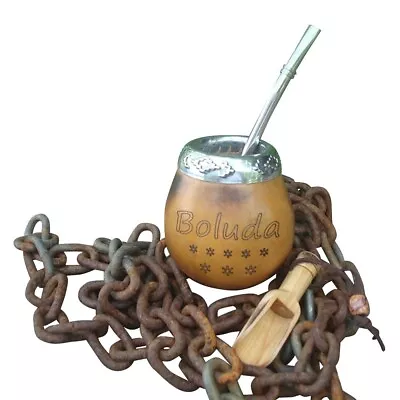 Argentina Mate Gourd Straw Cup Gourd Yerba Mate Bombilla Gaucho Drinking Kit • $16.90