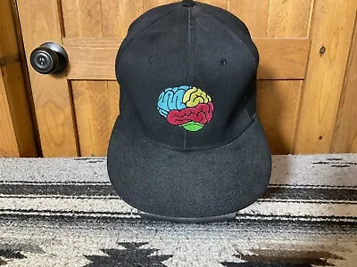 Baseball Cap BRAIN Hat Made By Apollo • $23