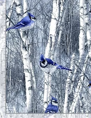 Christmas Fabric - Winter Frost Blue Jay On Tree Blue - Timeless Treasures YARD • $10.98