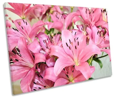 Pink Lily Flowers Floral Picture SINGLE CANVAS WALL ART Print • £24.99