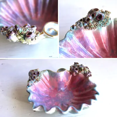 Mermaid Core Iridescent Lusterware Organic Shell Ceramic Bowl W Gilt Barnacles • $34