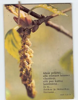 Postcard Greeting Card With Bible Verse And Cocoon Butterfly Leaves Picture • $9.09