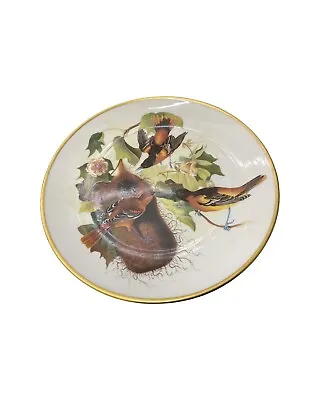 £85 • Buy Minton Signed Birds Of America John James Audubon Cabinet Plate #4