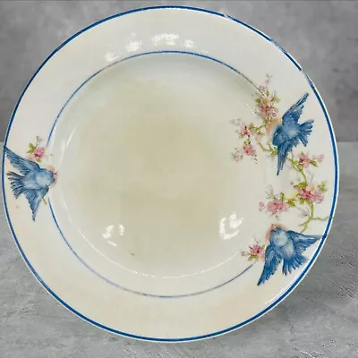 Antique Steubenville Pottery Bluebird Bread Round Side 6  Plate RARE • $34.99