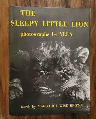 The Sleepy Little Lion Photos By Ylla Words By Margaret Wise Brown 1979 • $14.99
