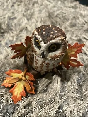 $29.99 • Buy Lenox Hand Painted Garden Bird Saw Whet Owl No COA