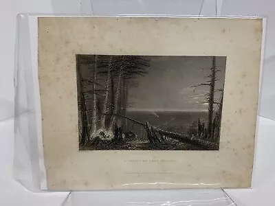 A Forest On Lake Ontario © 1838 W. H. Bartlett & J. T. Willmore • Geo. Virtue • • $19.99